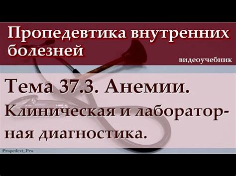 Понимание анемии гемолитической и ее разнообразных форм