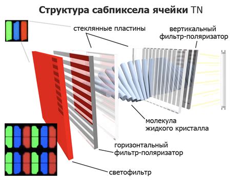 Понимание различий между технологиями IPS и OLED