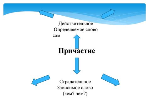 Понимание сущности "общего рода" в русской лингвистике