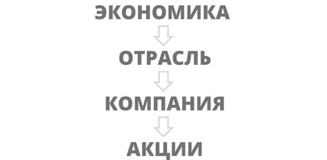 Понимание фундаментального анализа и его значимость