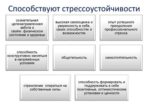 Понятие "Год за два" в переводе