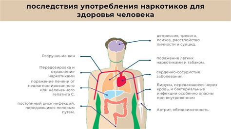 Понятие "эффект минигана": применение и последствия