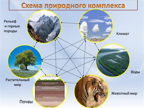 Понятие охраняемого природного территориального образования и принципы его управления