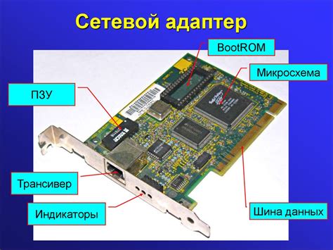 Понятие сетевого адаптера и его функции