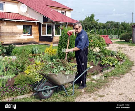 Популярные культуры для огородничества и их особенности