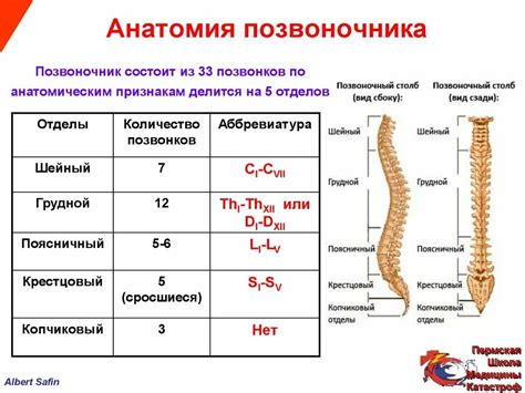 Последствия и осложнения при сдавлении истока седалища в костном строении позвоночного столба