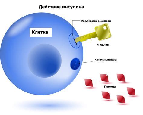 Последствия повышенного уровня глюкозы в крови