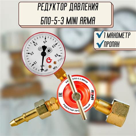 Правильная последовательность шагов для безопасного и эффективного очищения животного организма