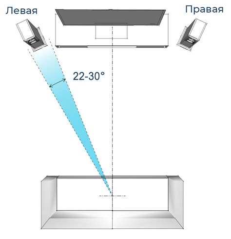 Правильное расположение цветов в комнате для максимального эффекта