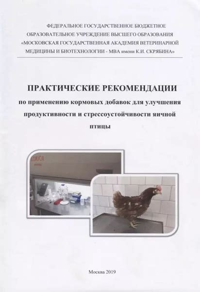 Практические рекомендации по применению воспламеняющего устройства в пучине страданий