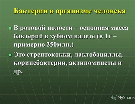 Предотвращение негативных последствий отсутствия антигена определенной бактерии в организме