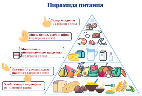 Преимущества включения протеиновых напитков в рацион здорового питания