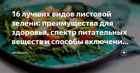 Преимущества получения необходимых питательных веществ для повышения энергии