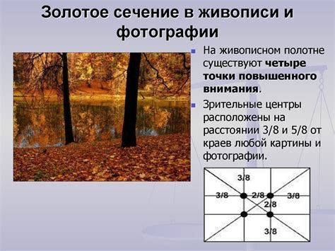 Применение "Золотого сечения" в живописи и фотографии