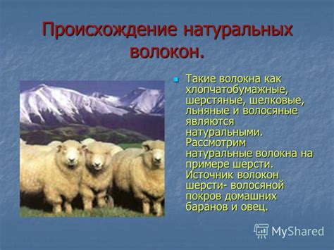 Применение деликатного моющего средства для натуральных и искусственных волокон шерсти и меха