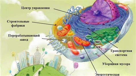 Применение клеточных структур аналогичных критически важным в медицинских исследованиях