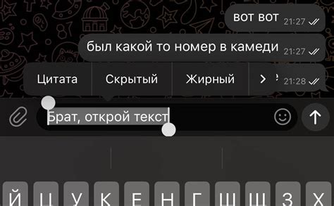 Применение функции установки визитного времени собеседника в Телеграм