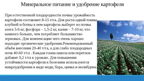 Применение эко-дружественных подходов для повышения плодородности растений в кислой среде