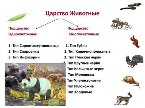 Примеры семейных структур в разнообразии животного мира