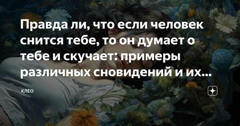 Примеры сновидений о подарке сочных плодов и их возможные толкования