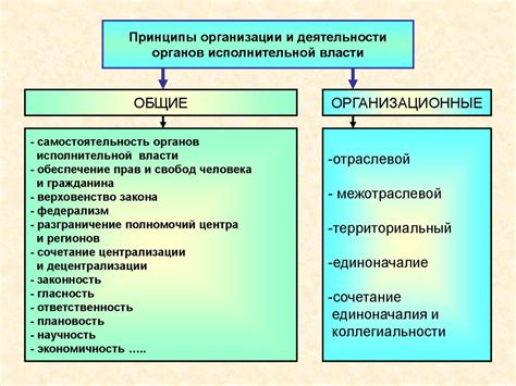 Принципы организации деятельности бригады «Склиф»