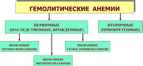 Принципы терапии гемолитической анемии и выбор методов лечения