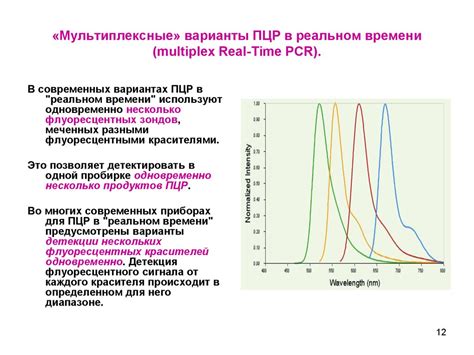 Принцип работы молекулярного метода анализа в режиме реального времени