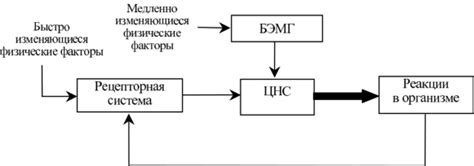 Принцип функционирования устройства отслеживания времени