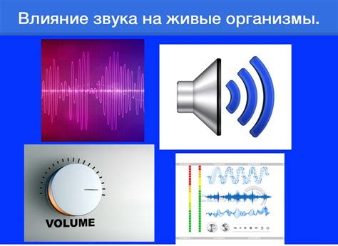 Причины возникновения отражений звука и их влияние на комфорт внутреннего пространства