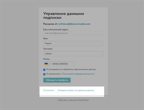 Проверка баланса Premium и управление подпиской