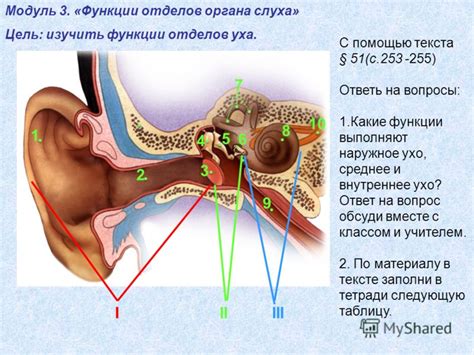 Проводимые нарушения в функциональности слухового органа