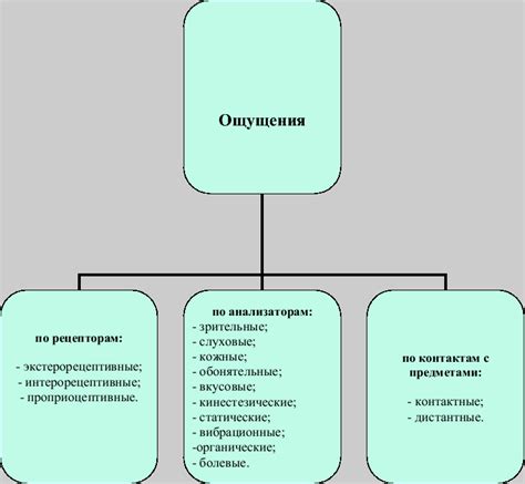 Продолжительность исследования и возможные ощущения