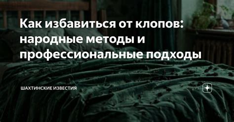 Профессиональные методы обнаружения наличия клопов: исследования и технологии
