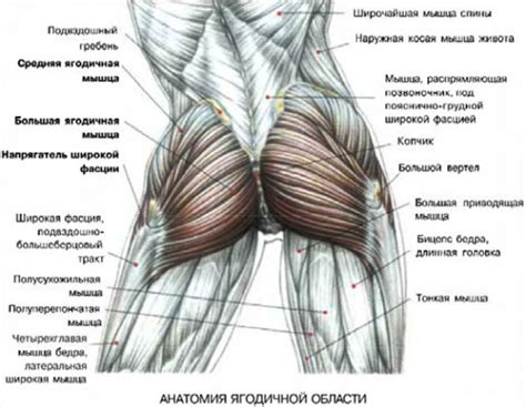 Профилактика и облегчение дискомфорта после инъекции в область ягодиц