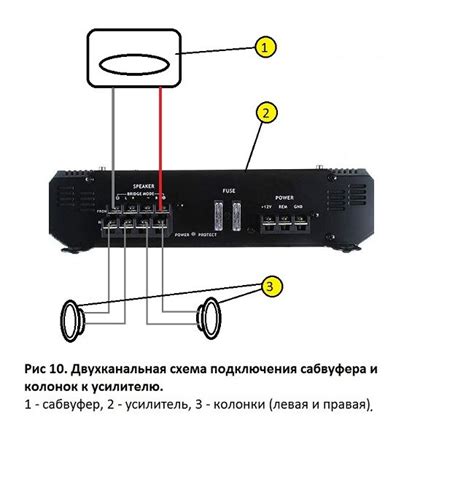 Процедура подключения прогремодавителя к усилителю: советы и инструкции