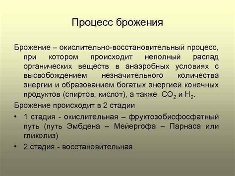 Процесс брожения: