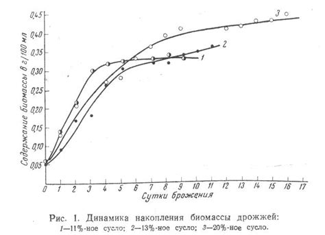 Процесс брожения: влияние избытка дрожжей на ферментацию браги