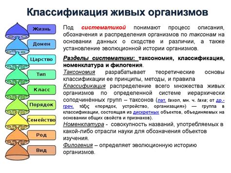 Путь от микромира к целостному организму: иерархия структур живых организмов