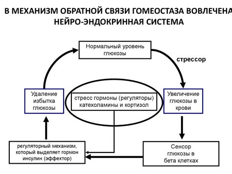 Разбор дефектов и обратная связь