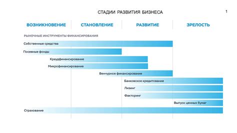 Развитие и поддержка малого и среднего бизнеса в южных регионах