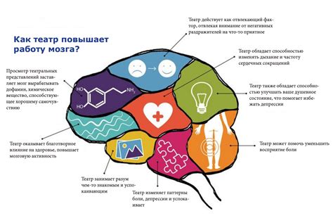 Развитие мозга через чтение: влияние на память и способность к сосредоточенности