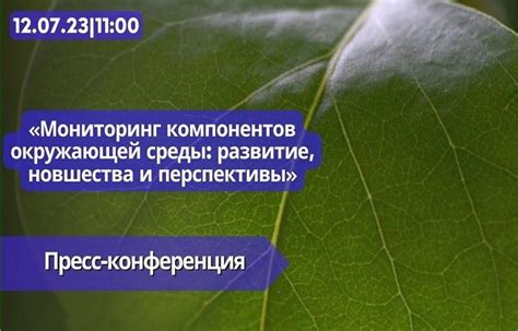 Развитие тестирования в сфере окружающей среды: перспективы и тенденции