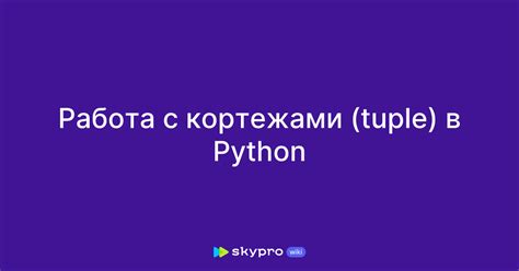 Раздел: Шаги по формированию неизменяемой структуры с использованием встроенной функции tuple()