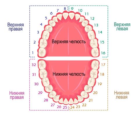 Разделение кубика на отдельные сегменты и их нумерация