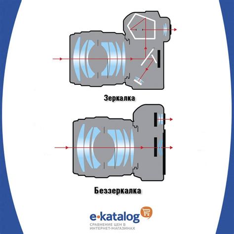 Разнообразие фотоаппаратов: исследование зеркальных и беззеркальных моделей