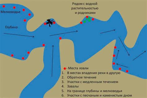 Расположение специального устройства для рыбалки: выбор правильного места