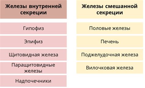 Распространение онкоклеток в организме и их воздействие на состояние здоровья