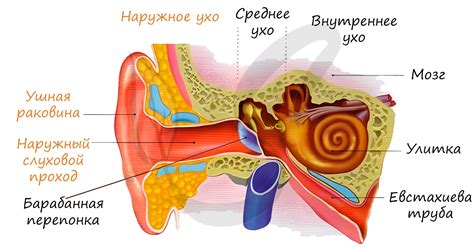 Расстройство равновесия внутри уха