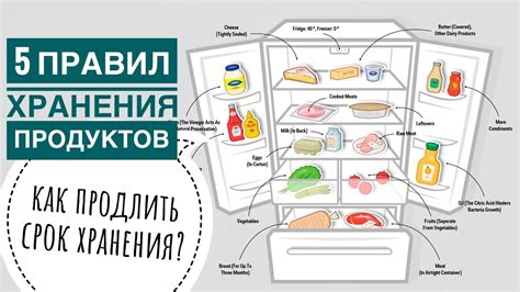 Рациональное распределение продуктов внутри холодильника