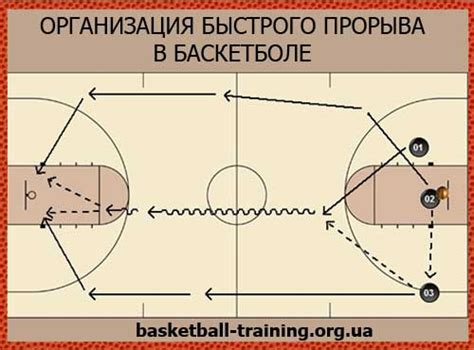 Реалистичная модель баскетбола и олицетворение игровых стратегий